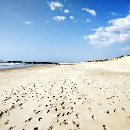 Mindelothepalm * Mindelo