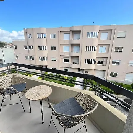 Mindelothepalm Mindelo