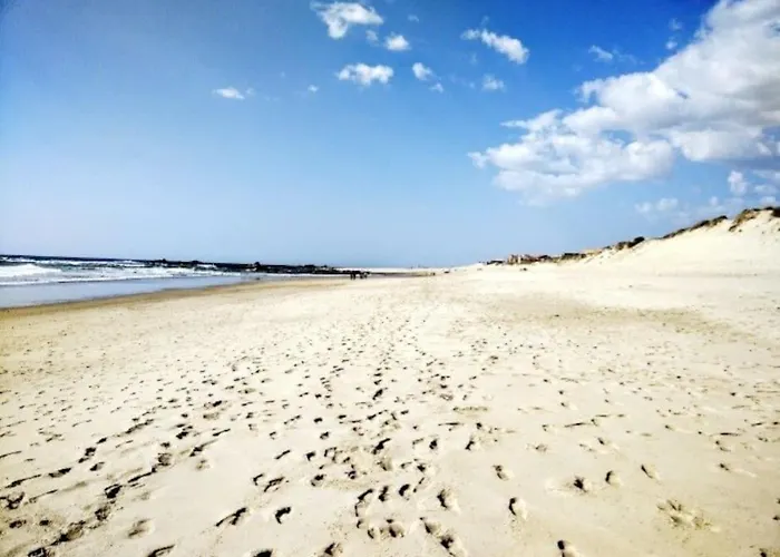 Mindelothepalm * Mindelo